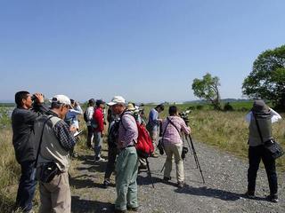 11s-探鳥会風景04666.jpg