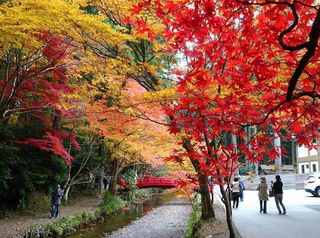 1s-宮川紅葉C02695.jpg