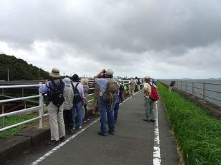1s-探鳥会風景05984.jpg
