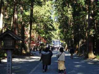 2s-小國神社参道1079.jpg
