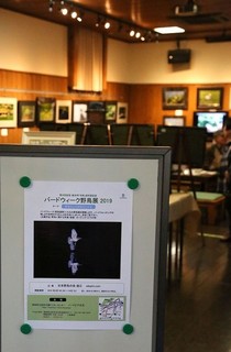 5s-野鳥展5A5197.jpg
