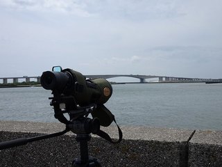 6s-DSC05650.jpg