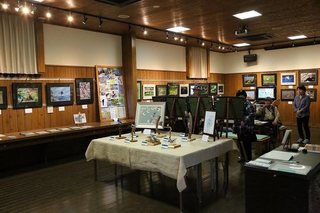6s-野鳥展5A5198.jpg