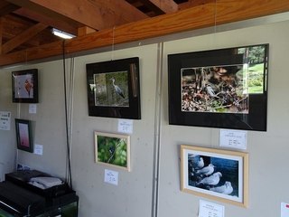 7s-tr_00227.jpg