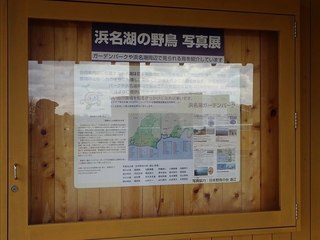 s-10_浜名湖の野鳥写真展06538.jpg