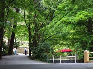 s-2_宮川05261.jpg