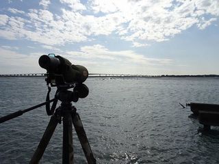 s-5_弁天島00897.jpg