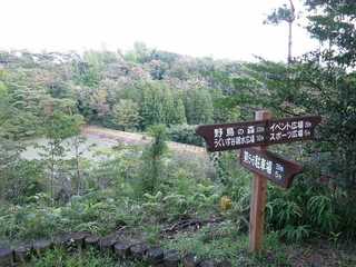 s-5_西の谷奥池_4198.jpg