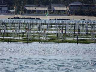 s-8_海苔棚01296.jpg