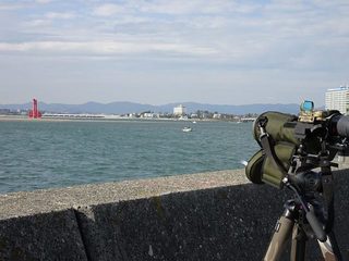 s-8_舞阪漁港00904.jpg