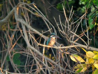 s_CEIMG_0961.jpg